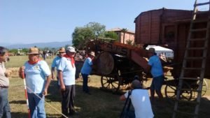 Trebbiatura a Lazise1